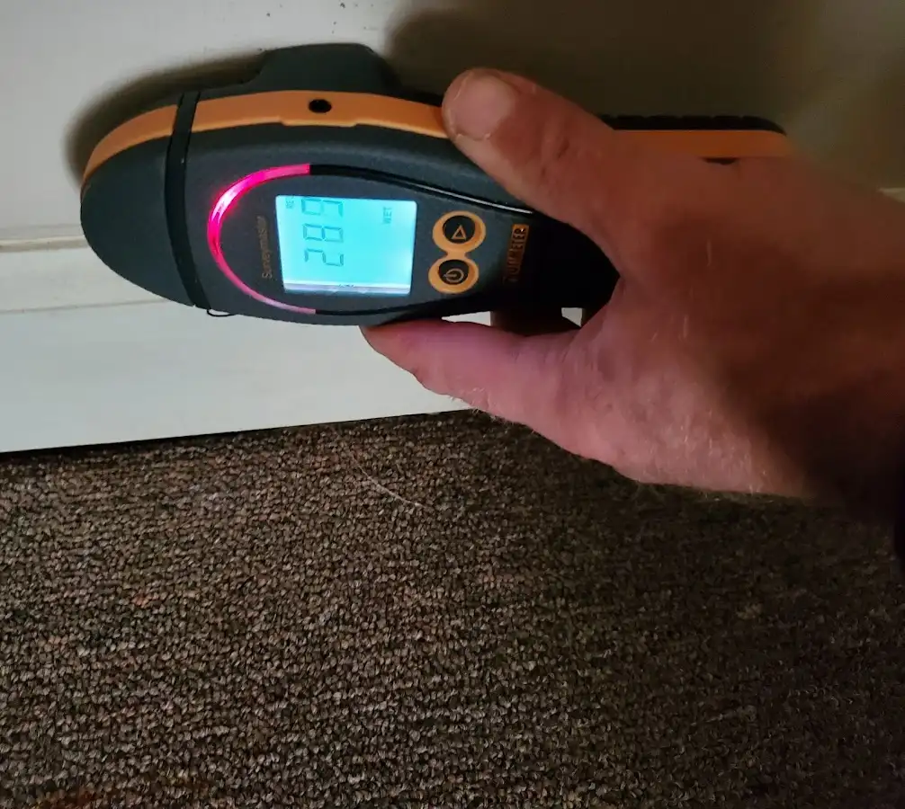 Moisture detection at baseboard during Sewage Cleanup & Sanitation in East Donegal